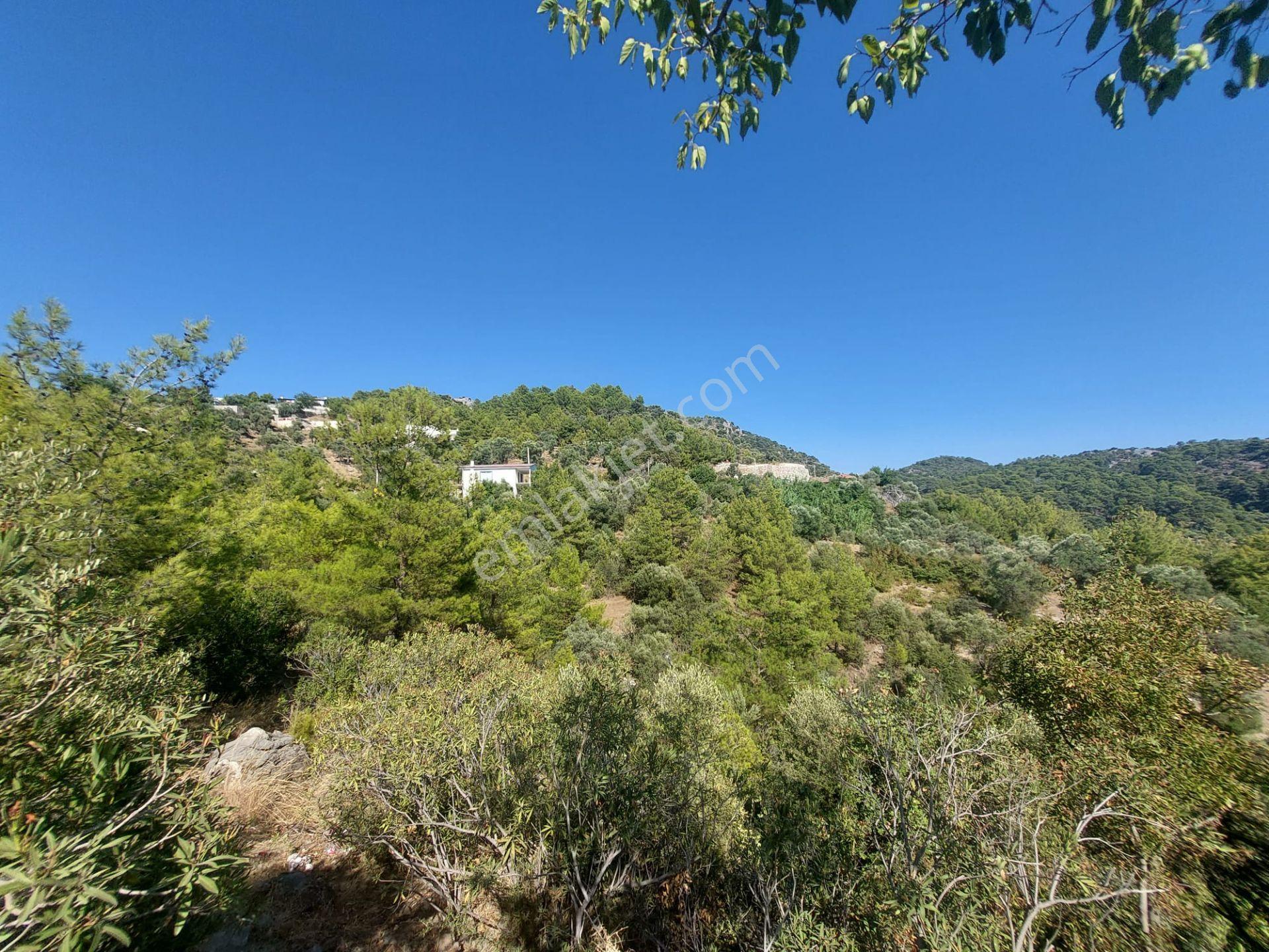 Muğla Ortaca Gökbel’de Satılık Müstakil Tapulu 238 M2 Hobi Bahçesi - Görsel 17