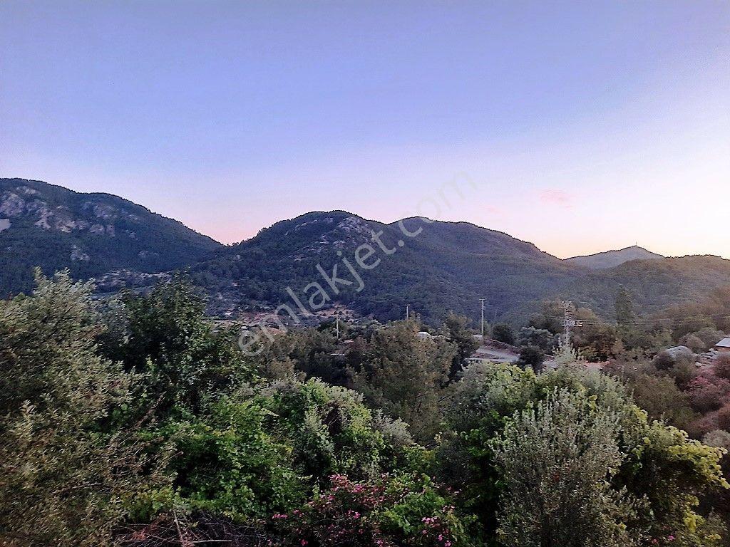 Muğla Ortaca Gökbel’de Satılık Müstakil Tapulu 238 M2 Hobi Bahçesi - Görsel 11