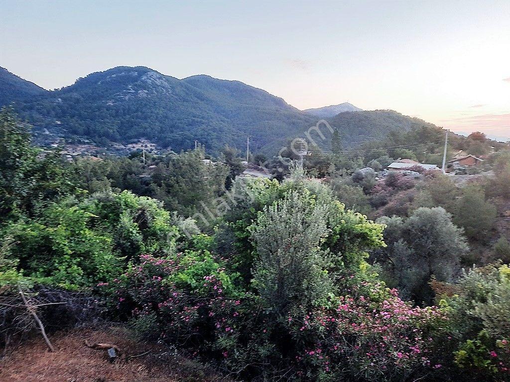 Muğla Ortaca Gökbel’de Satılık Müstakil Tapulu 238 M2 Hobi Bahçesi - Görsel 7