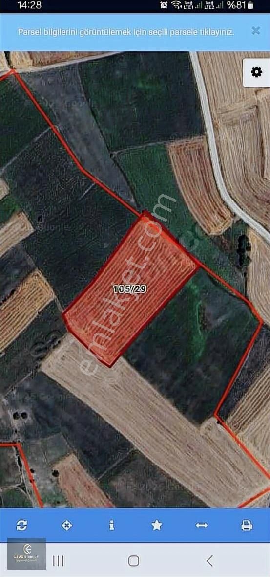 Civan Emlaktan Havza Şehsafi Mahallesinde Satılık Tarla