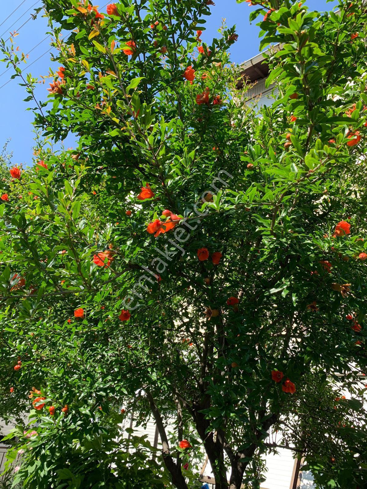 Tekirdağ Şarköy İstiklal Mah Deniz Çarşı Pazara Çok Yakın - Görsel 19