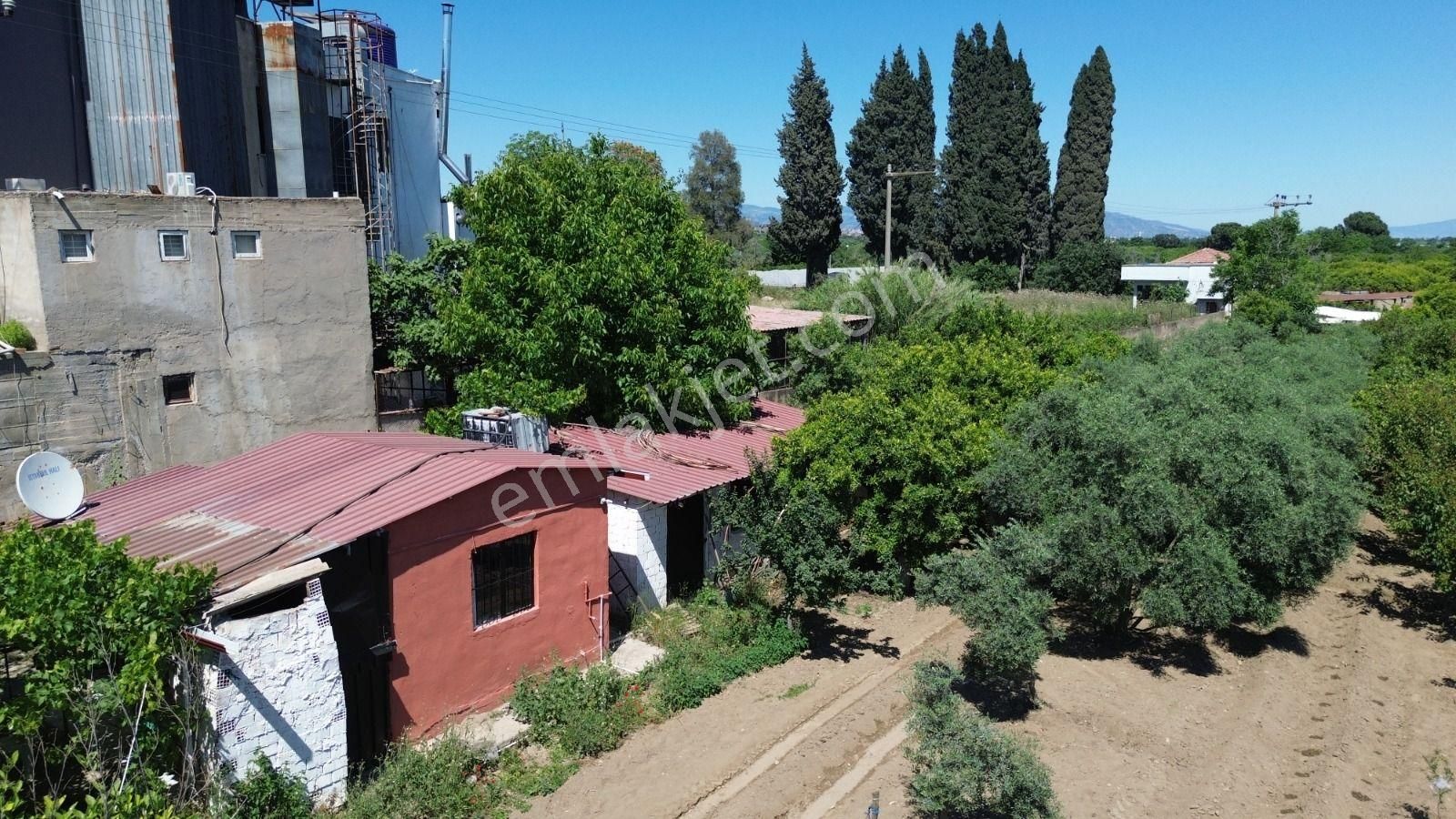 Atça İsabeyli Arası Karayoluna 60mt 2600m2 Satılık Bahçe - Görsel 8
