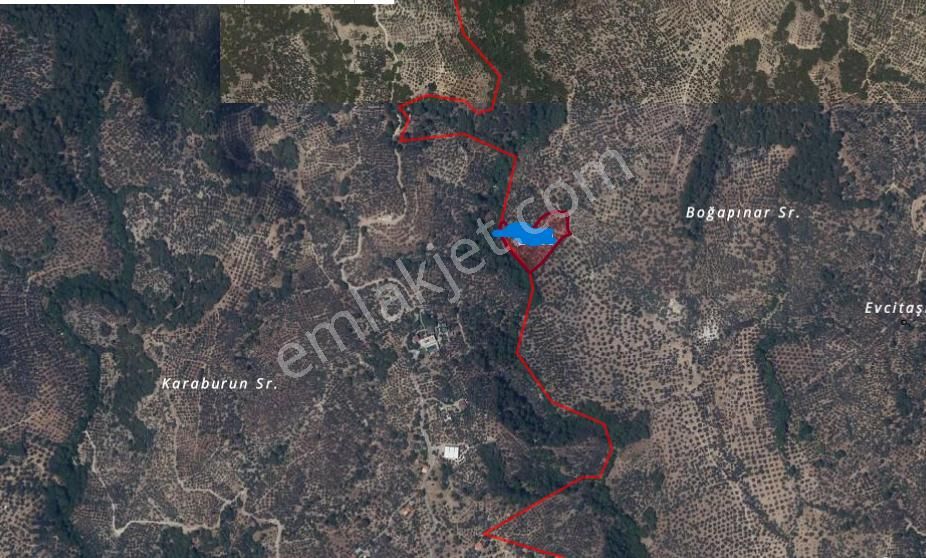 Akçay Köşem Emlaktan Edremit Tahtakuşlar Mah Yatırımlık Zeytinlik