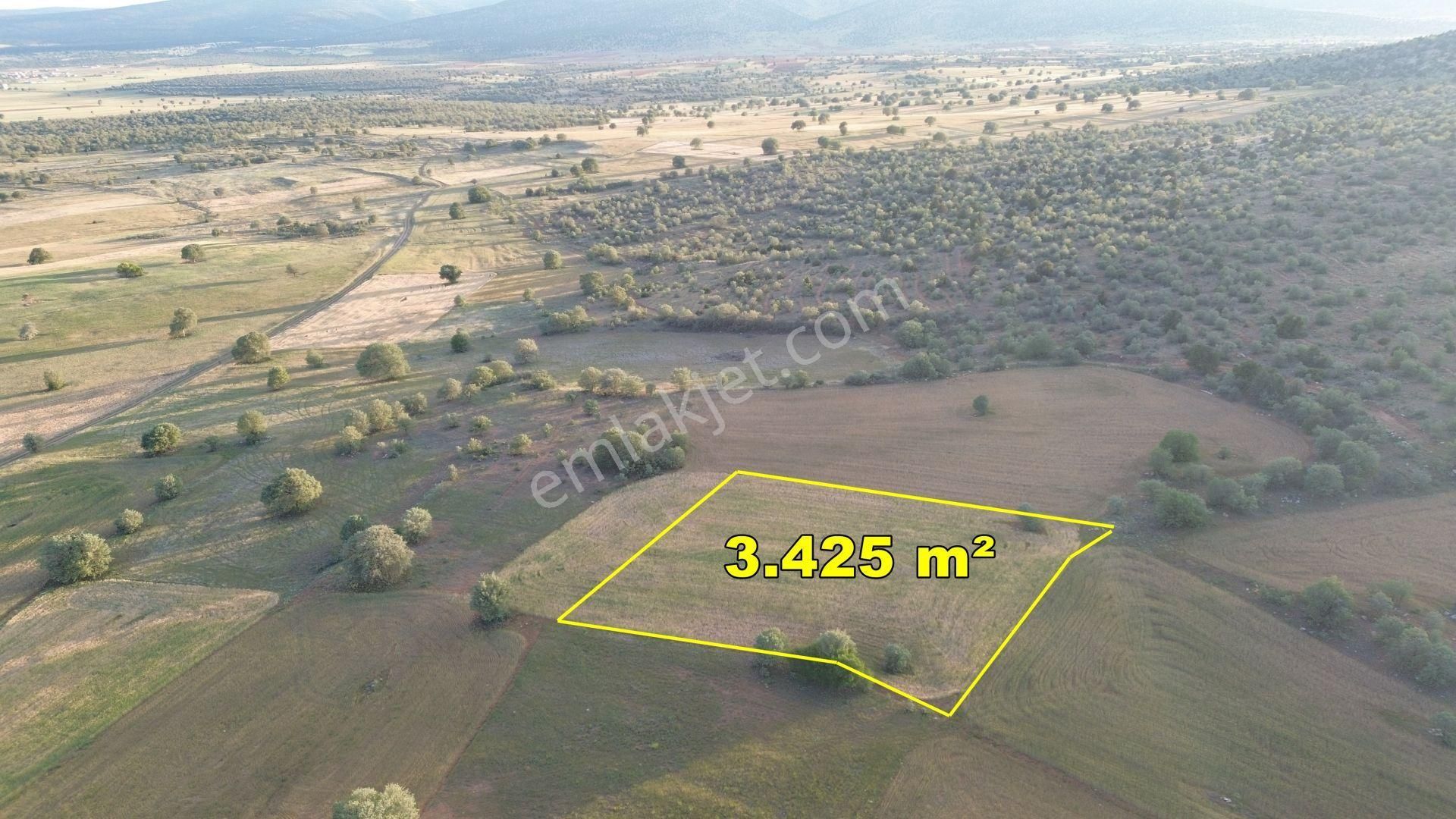 Konya / Akören / Hacılar Da 3.425 M² Müstakil Tapu Tarla