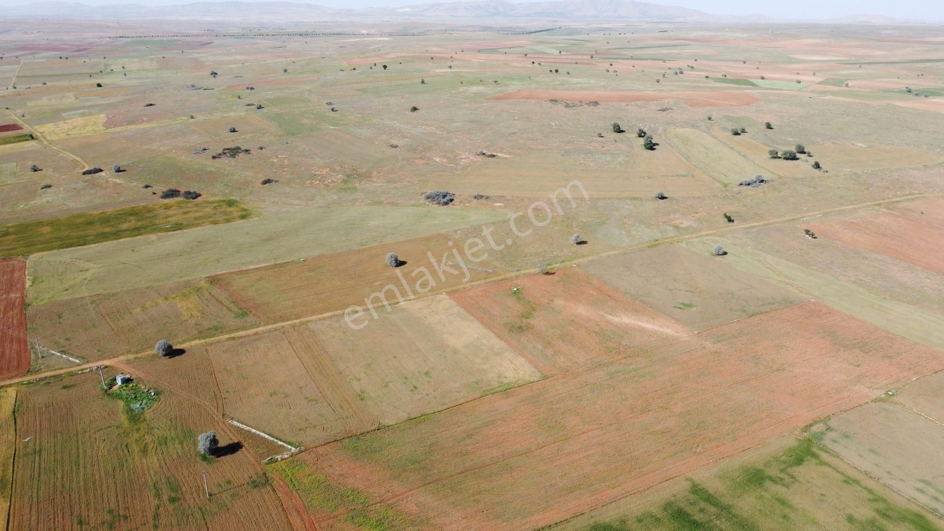 Hacılar Da 2.002 M² Kadastrol Yoluna Cephe Tarla