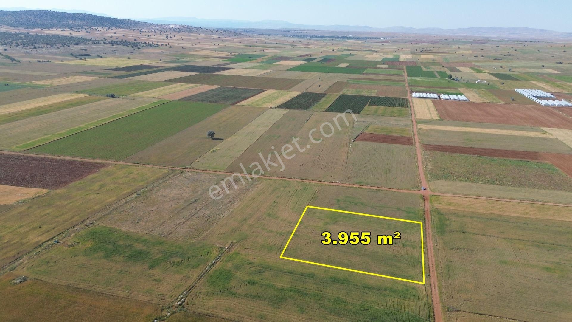 Akören Hacılar'da 3.955 M² Verimli Konumu Güzel Tarla