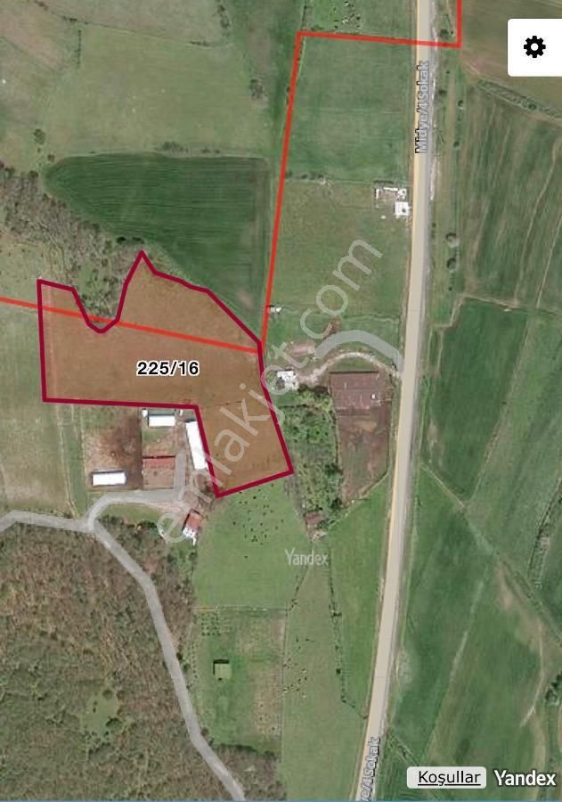 Tekirdağ Saray Pazarcık Mevkinde 11.500m2 Satılık Tarla