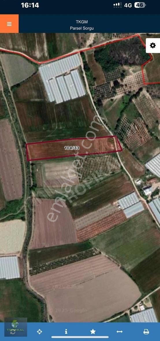 Serik Çanakçı Da Satilik Kupon 9.880 M2 Arazi