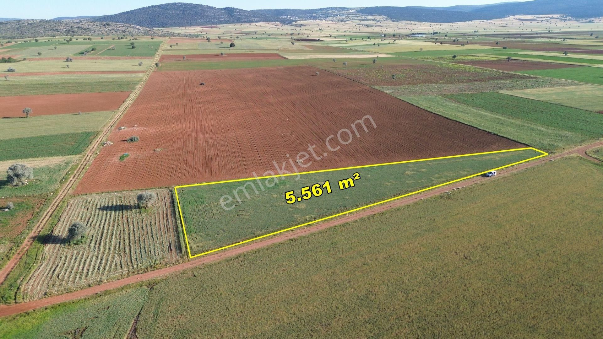 Konya / Akören / Karahüyük De 5.561 M² Konumu Harika Verimli Tarla