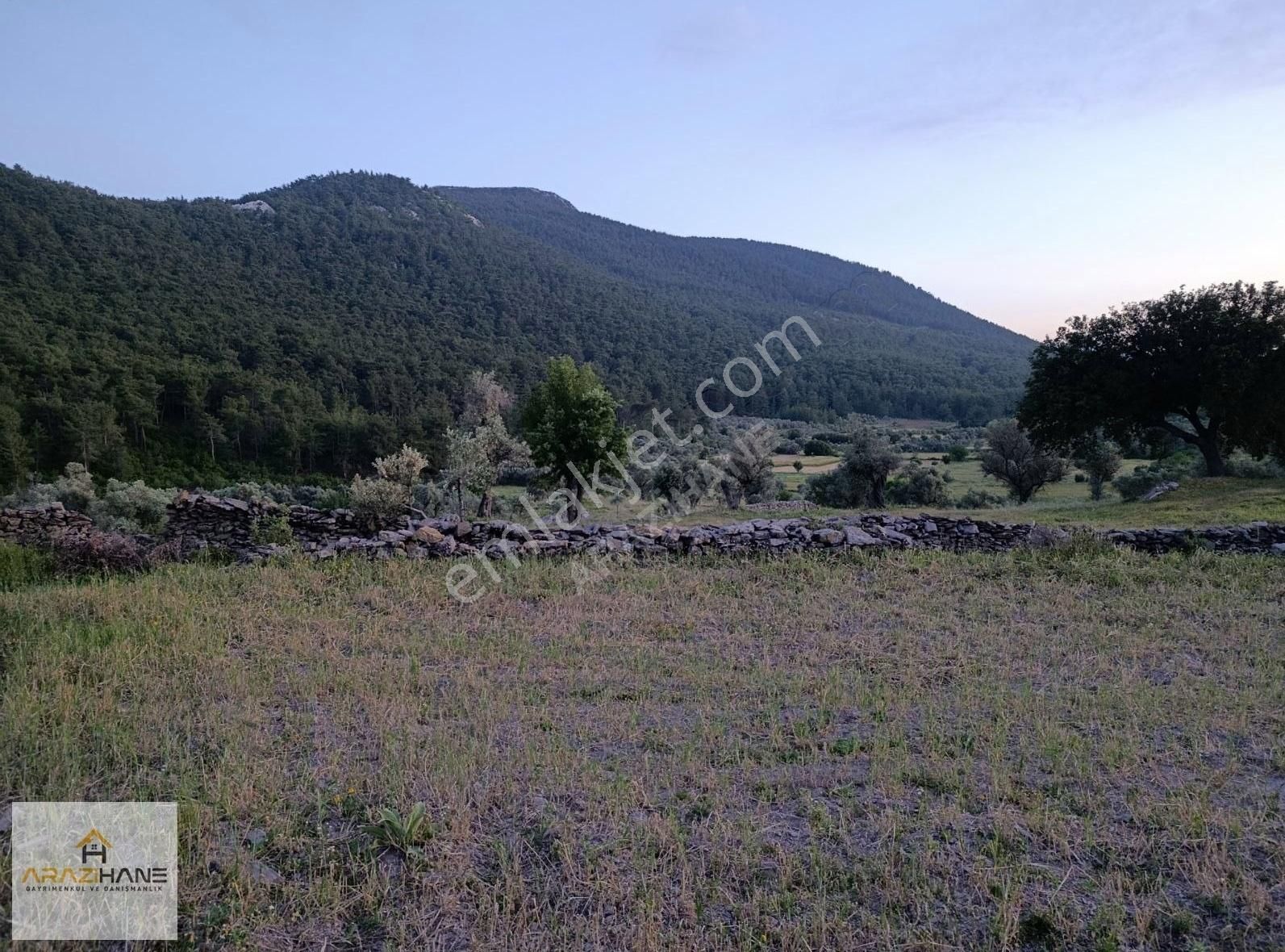Milas Çiftlik'te Yolu Olan Z.tarla - Görsel 9