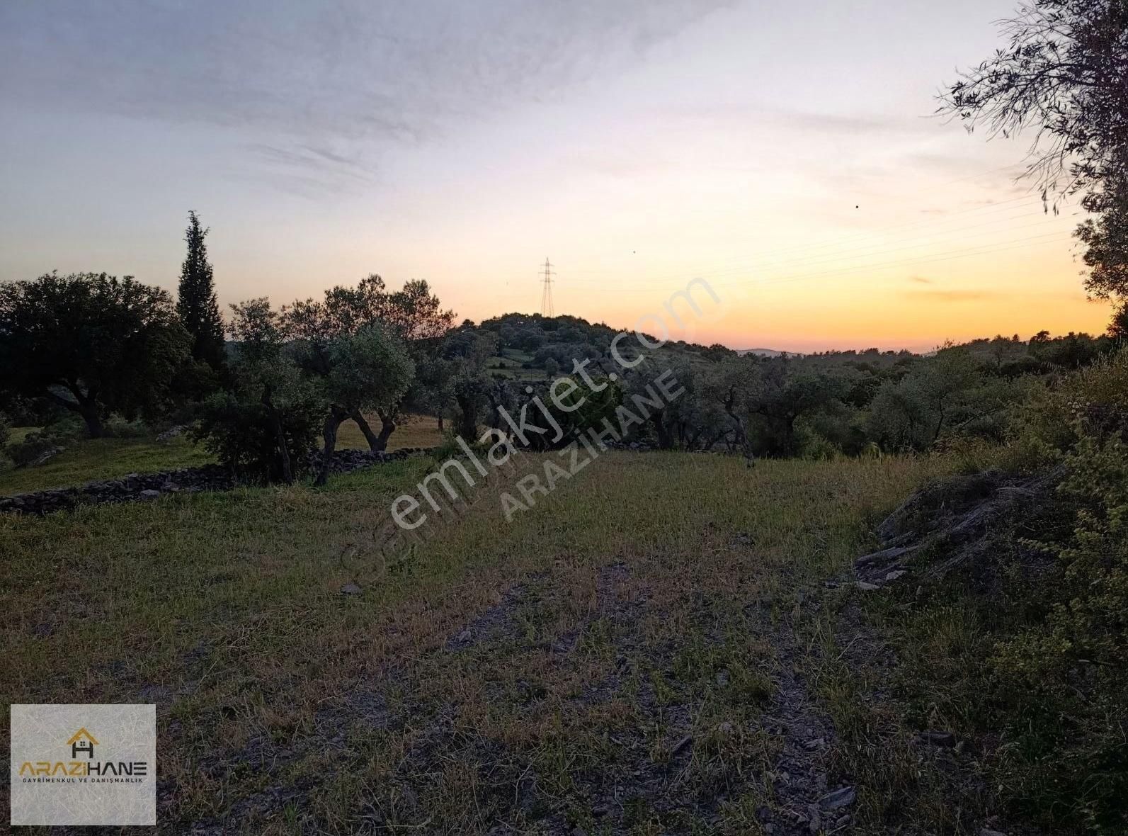 Milas Çiftlik'te Yolu Olan Z.tarla - Görsel 10