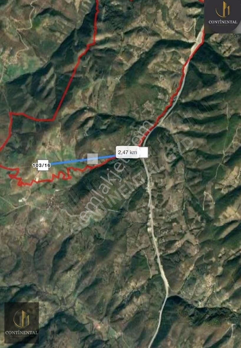 Samsun Kavak Satılık Tarla - Görsel 2