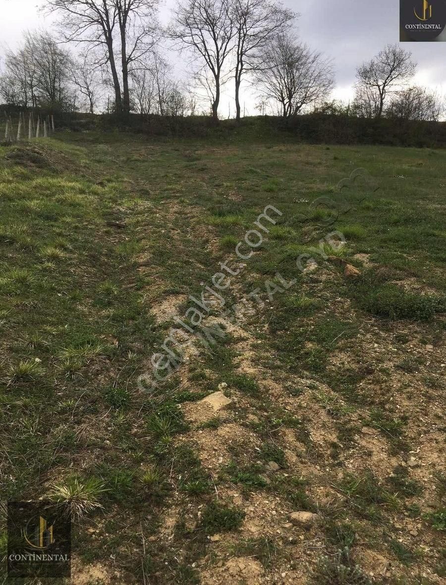 Samsun Kavak Satılık Tarla - Görsel 17