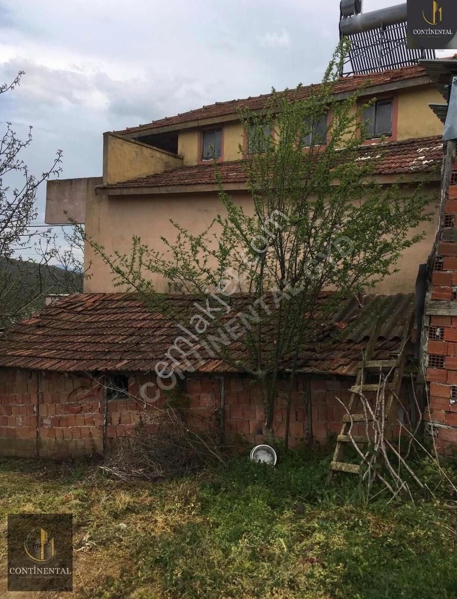 Samsun Kavak Satılık Tarla - Görsel 4