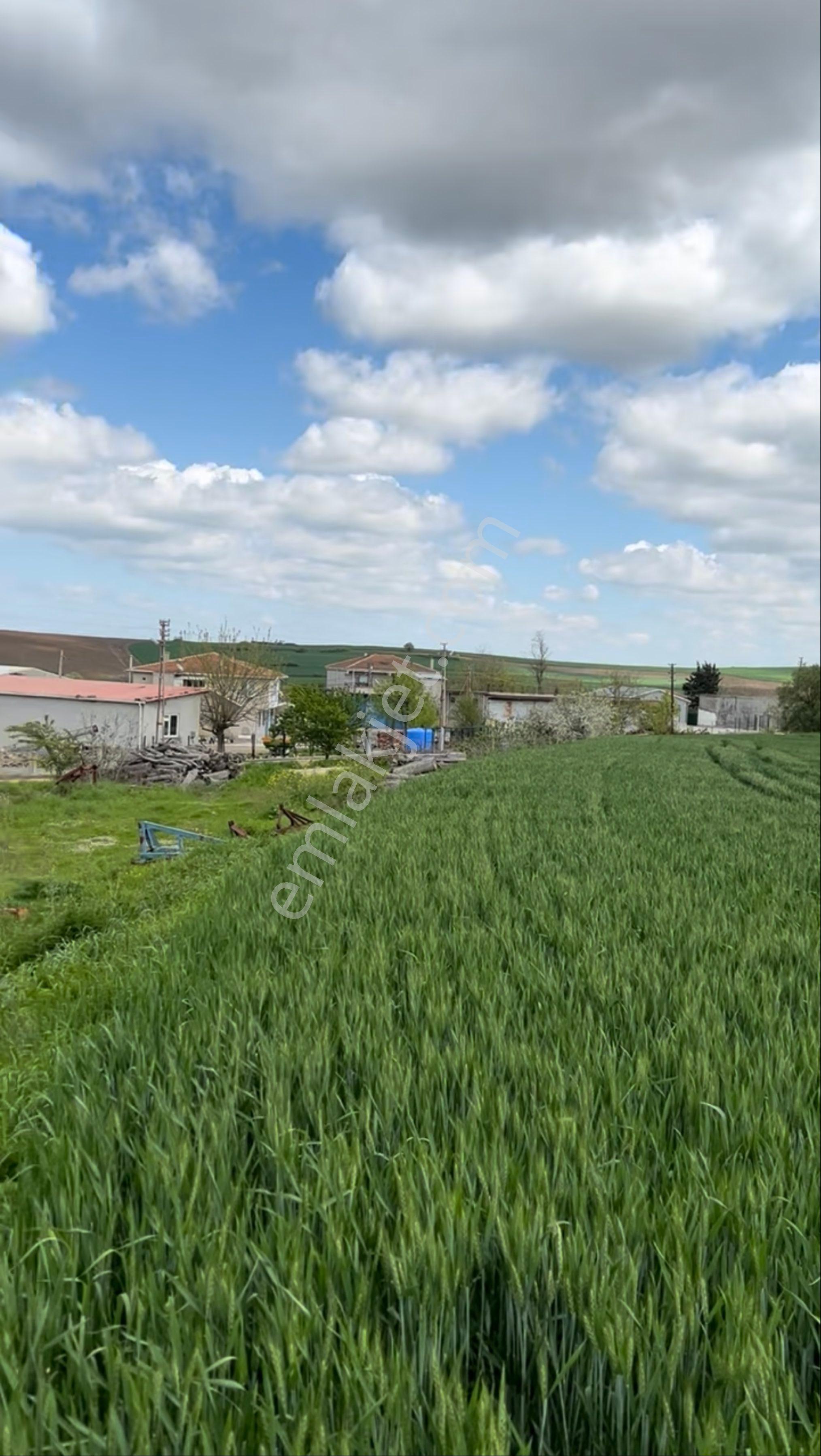 Tekirdağ Gündüzlü'de 125 M2 Arsa Tapulu - Görsel 31