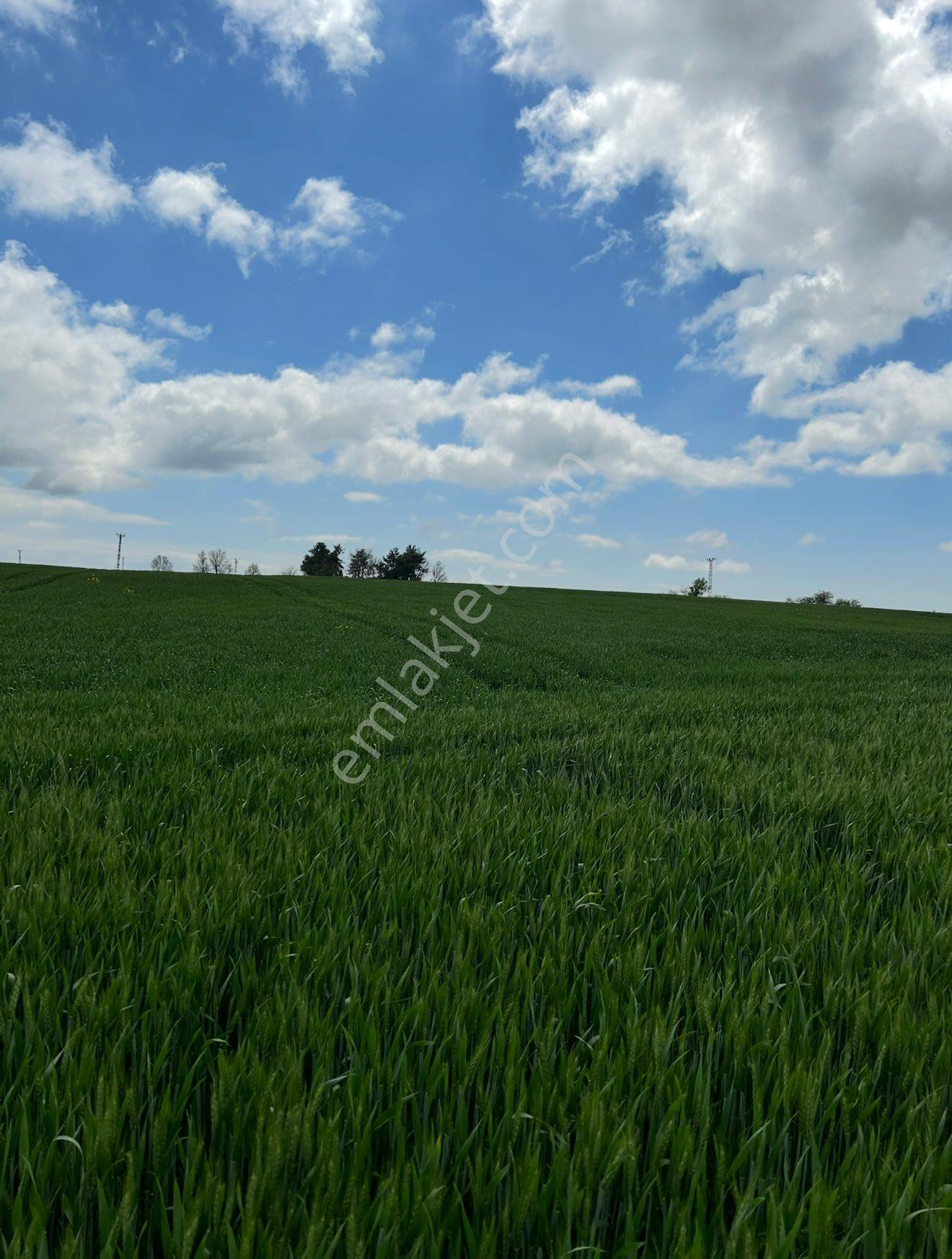 Tekirdağ Gündüzlü'de 125 M2 Arsa Tapulu - Görsel 26