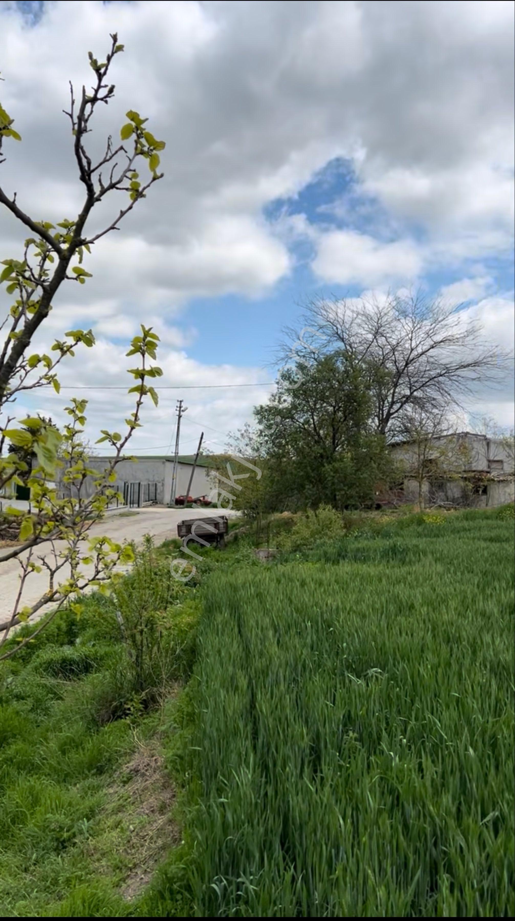 Tekirdağ Gündüzlü'de 125 M2 Arsa Tapulu - Görsel 15