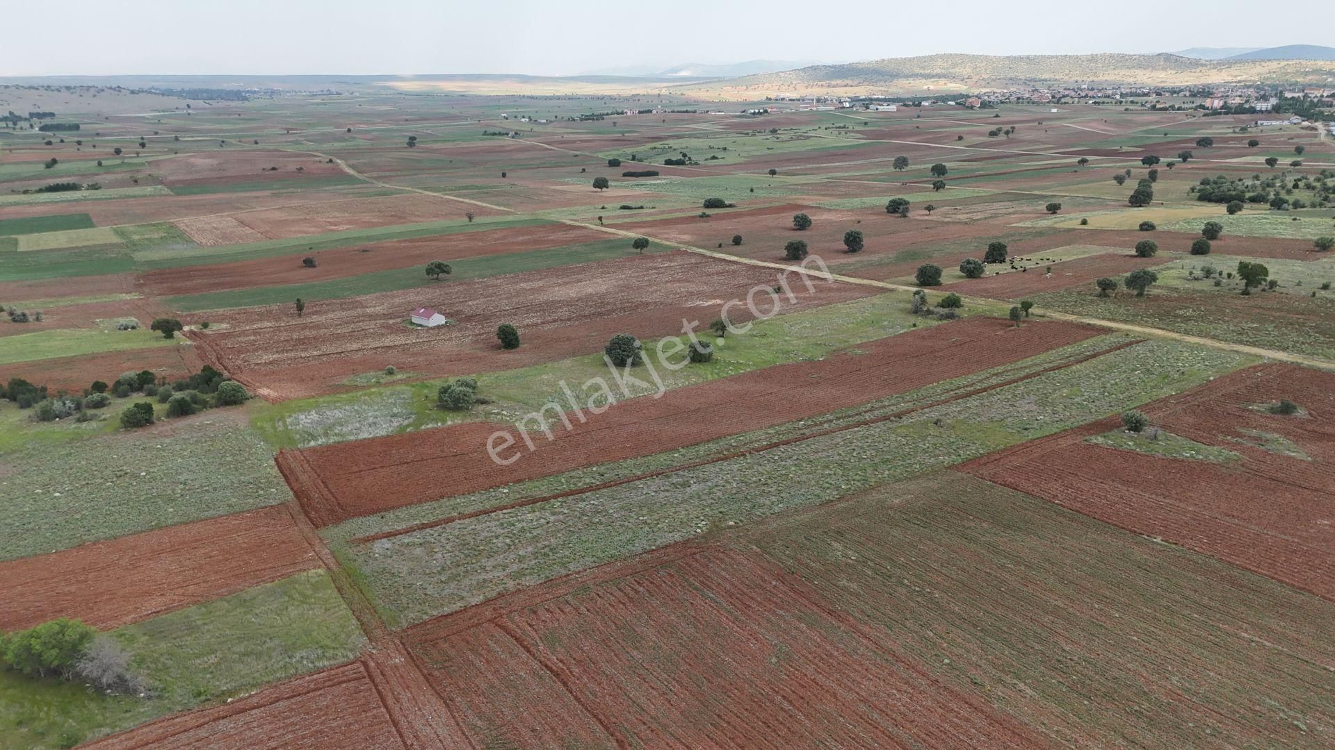 Konya / Akören Merkez'de 6.439 M² Tek Tapu Tarla