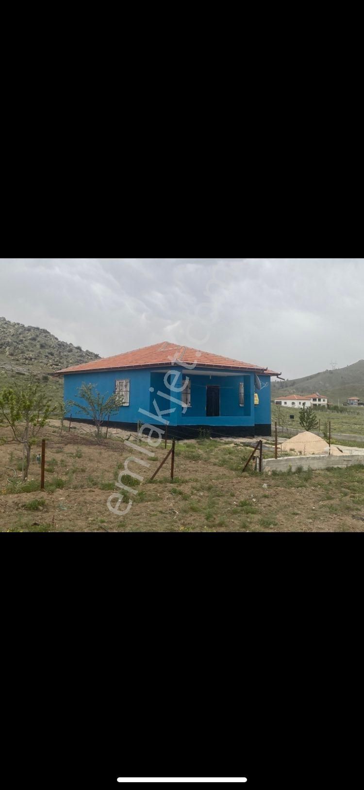 Ulukışla Alpağut Satılık Mavi Ev