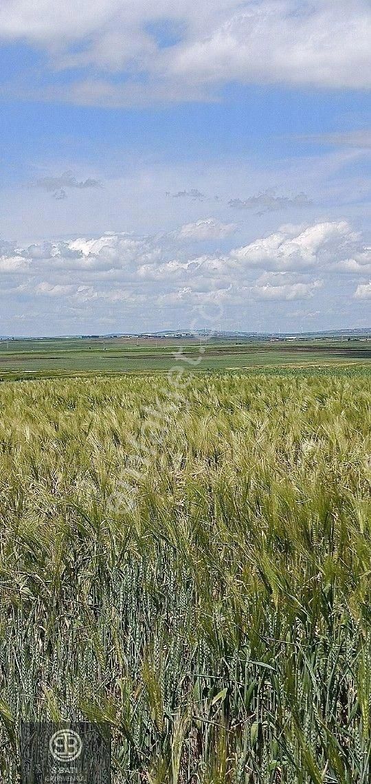 Acil Satılık. Süloğlu Na Yakın Konumda Baraj Ve Yol Cepheli Tarla