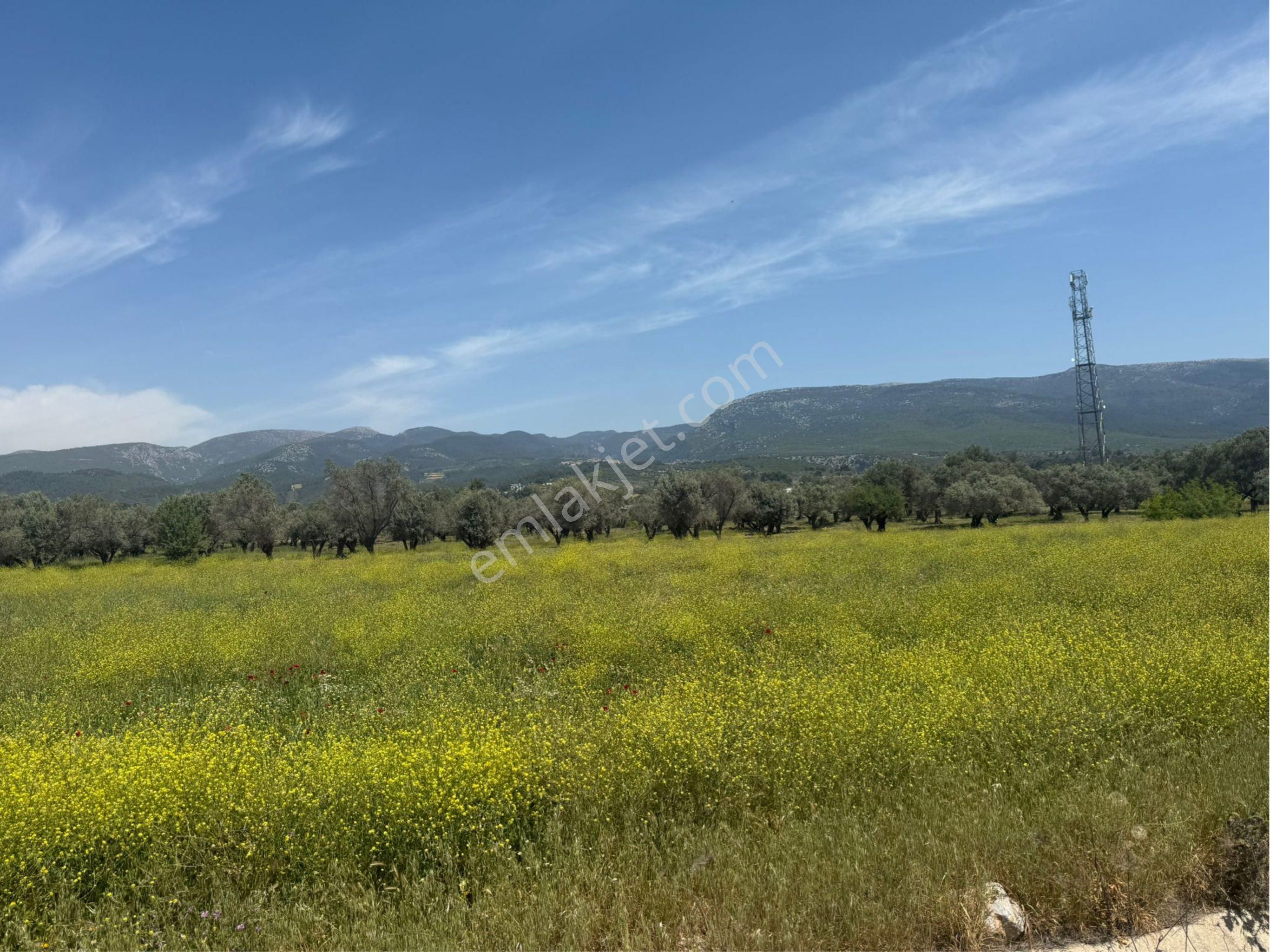 İzmir/istanbul Otoyoluna Cep. 5158m2 Kosbi 2. Bölgede Arazi - Görsel 7