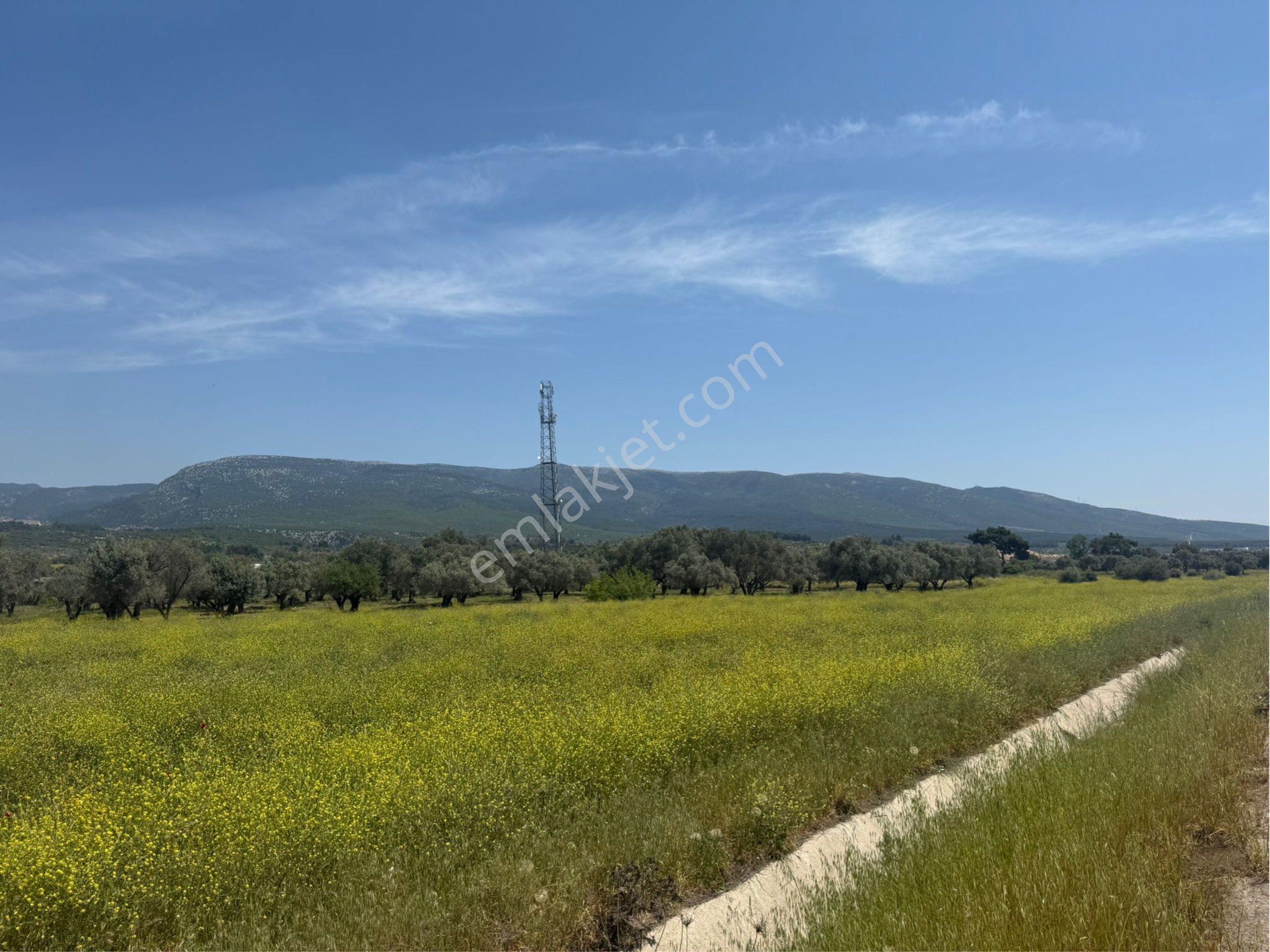 İzmir/istanbul Otoyoluna Cep. 5158m2 Kosbi 2. Bölgede Arazi - Görsel 4