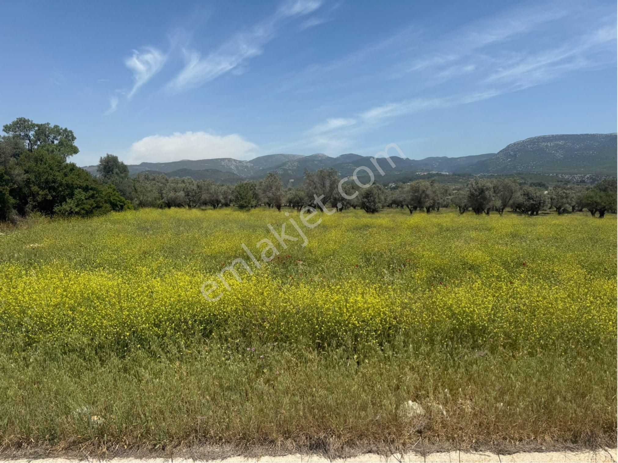 İzmir/istanbul Otoyoluna Cep. 5158m2 Kosbi 2. Bölgede Arazi - Görsel 15