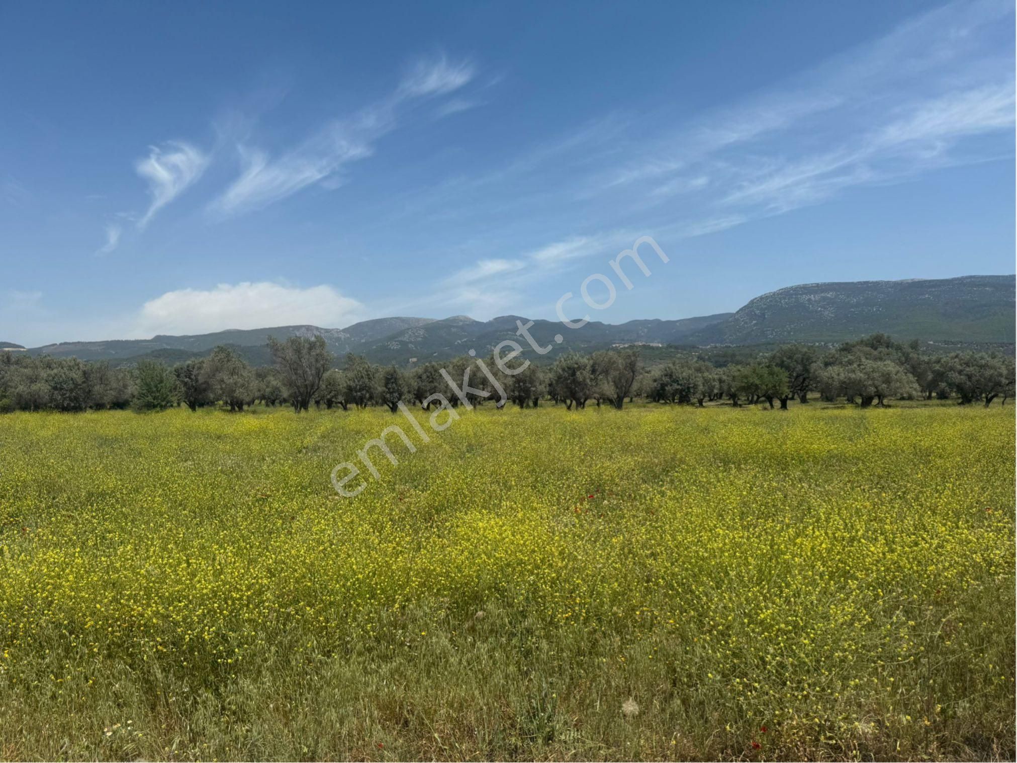 İzmir/istanbul Otoyoluna Cep. 5158m2 Kosbi 2. Bölgede Arazi - Görsel 13