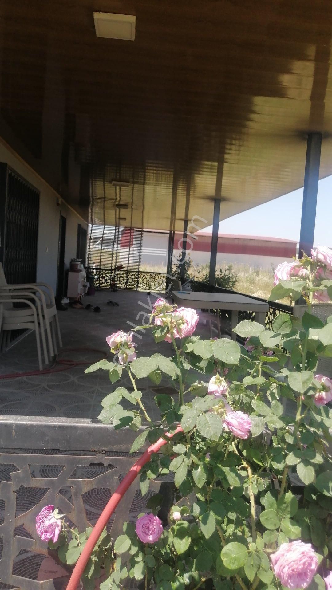 Kısıkköy San. Sit. Karşısı, Depolama İmarı Sınır. 10 Dönüm Arazi - Görsel 23