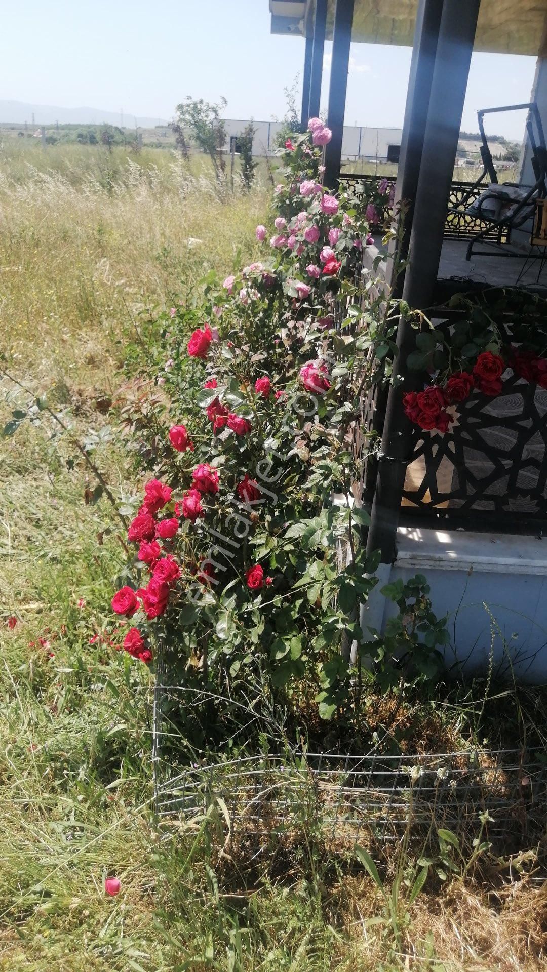 Kısıkköy San. Sit. Karşısı, Depolama İmarı Sınır. 10 Dönüm Arazi - Görsel 20