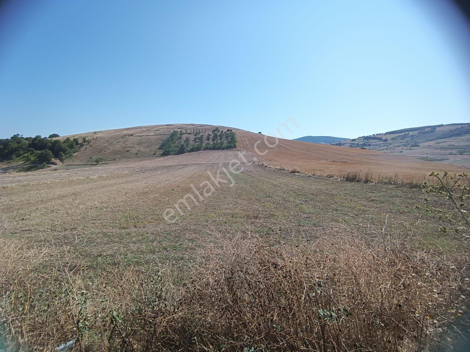 Kamalı Ahullu Sınırında Tarla - Görsel 2