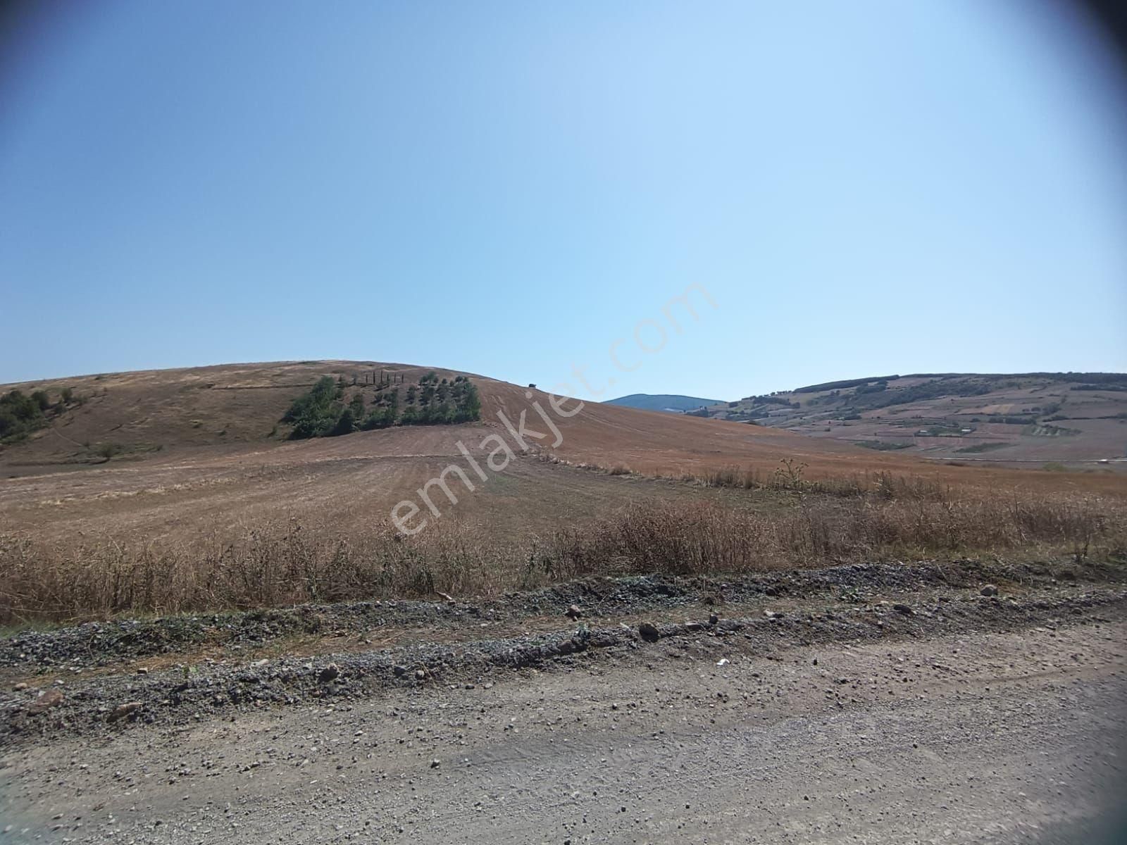 Kamalı Ahullu Sınırında Tarla - Görsel 4