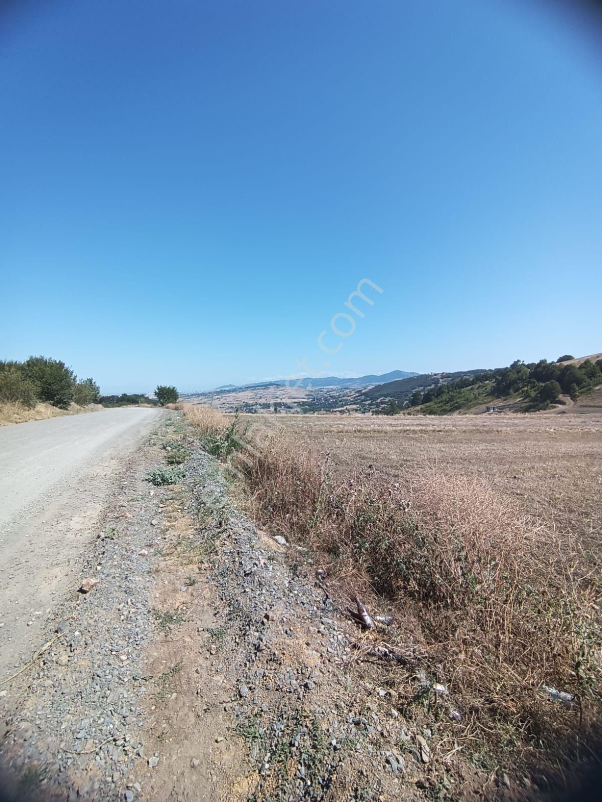 Kamalı Ahullu Sınırında Tarla - Görsel 3