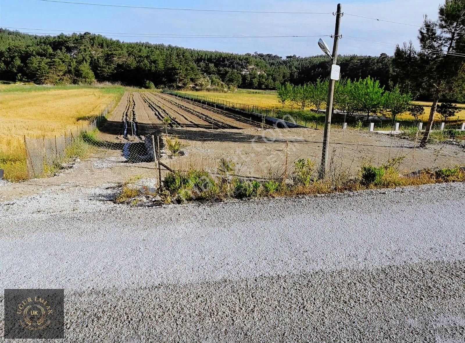 Uğur'dan Muğla Seydikemer Korubükü Satılık Meyve Bahçesi
