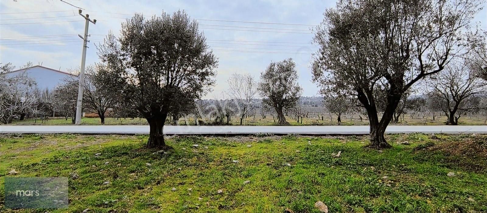 The Mars'tan Kuyucak Ana Yol Cepheli Depo İmarlı Kiralık Arazi