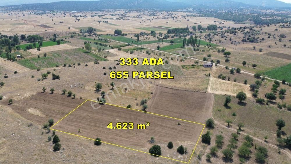Tülce'de 4.623 M² Kupon Tarla Tek Tapulu Yatırıma Bahçeliğe Uygun