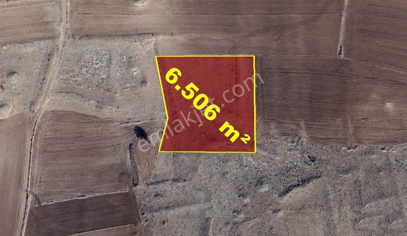 Konya / Akören / Orhaniye Mahallesinde 6.506 M² Müstakil Tapulu Tarla