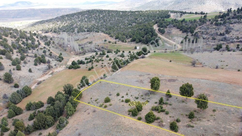 Konya / Akören / Belkuyu 2.635 M² Çamlıdere Ormanında Müstakil Tarla