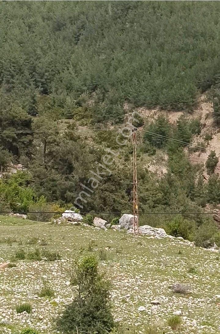 Tarsus Cokak Koyunde Satılık Ciflik Yeri