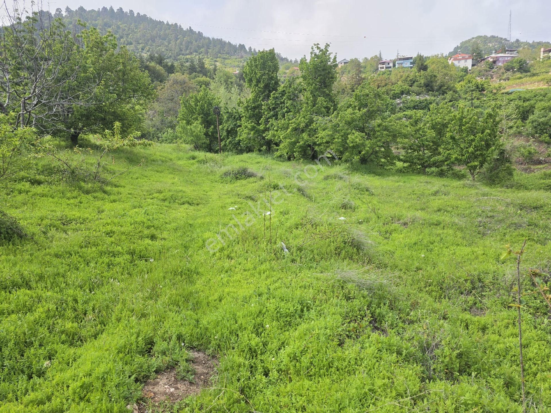 Mersin Toroslar Yüksekoluk Mah'de 4.450m2 Satılık Tarla