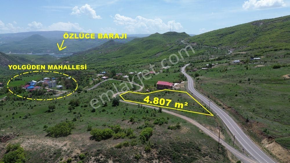 Bingöl / Yayladere / Yolgüden Mahallesinde 4.807 M² Müstakil Tapulu Tarla