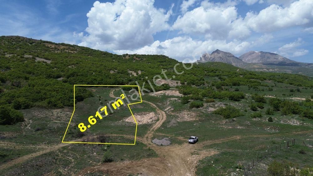 Bingöl / Yayladere / Yolgüden Mahallesinde 8.617 M² Müstakil Tapulu Tarla