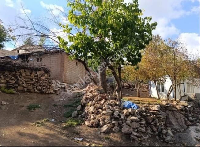 Sıra Söğüt - Şahinbey Köyünde Kargir Ev Ve Arsası Satılık