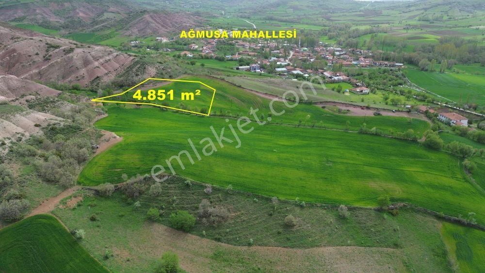 Tokat / Artova / Ağmusa Mahallesinde 4.851 M² Müstakil Tapulu Tarla