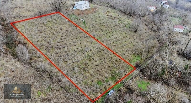 Sinerji Grup Tan %40 2 Katlı İmarlı 4130 M2 Satılık Arsa
