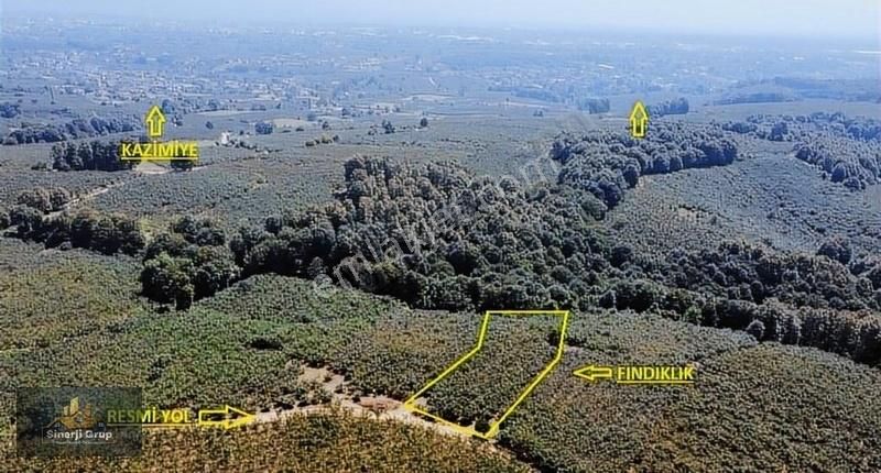Kazimiye Mahallesi'nde 2.727 M2 Satılık Fındıklık