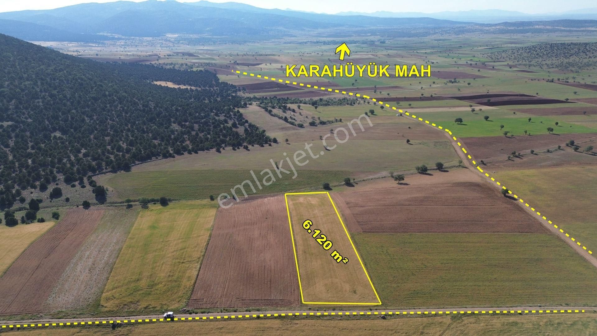 Konya / Akören / Alan'da 6.120 M² Müstakil Tapu Tarla Fırsatı