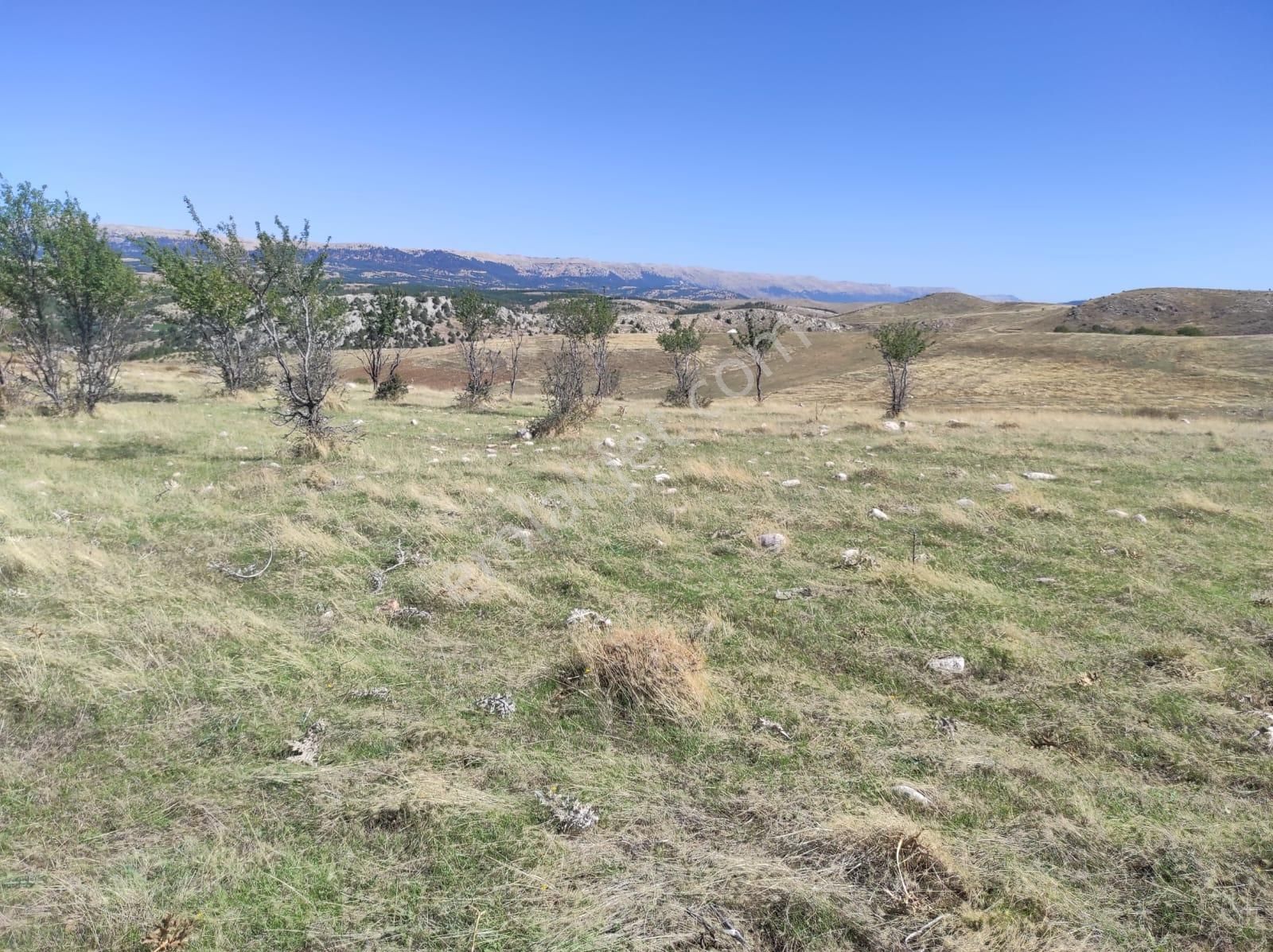 Mersin Erdemli Hacıalanı Nda 6.500 M² Satılık Tarla - Görsel 20