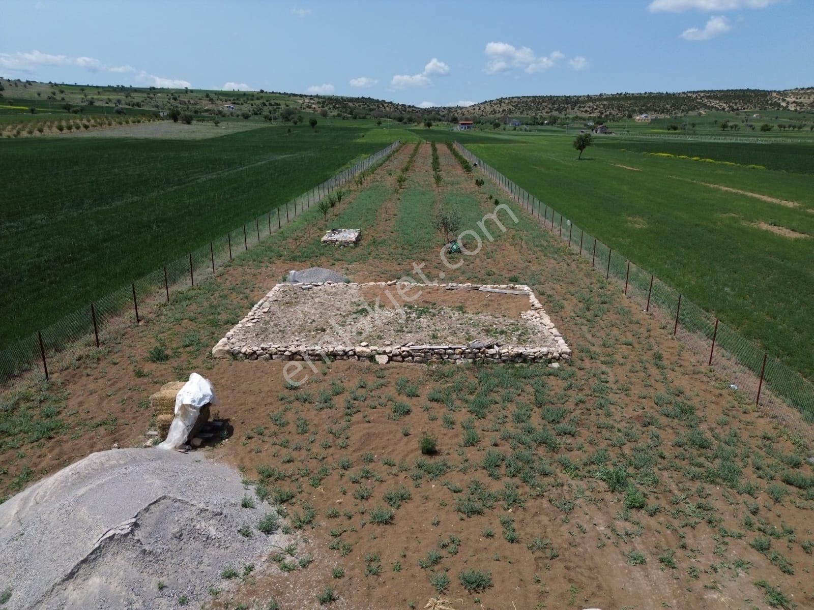 Beyşehir Bekdemir Mahallesinde Satılık Meyve Bahçesi Suyu Mevcut - Görsel 4