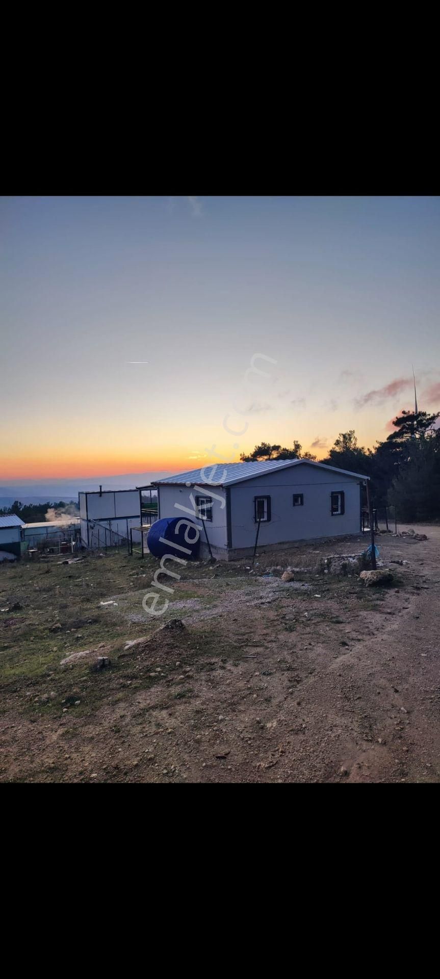 Kemalpaşa Damlacık Mahallesi'nde Yatırımcıya Uygun Satılık Tarla - Görsel 12